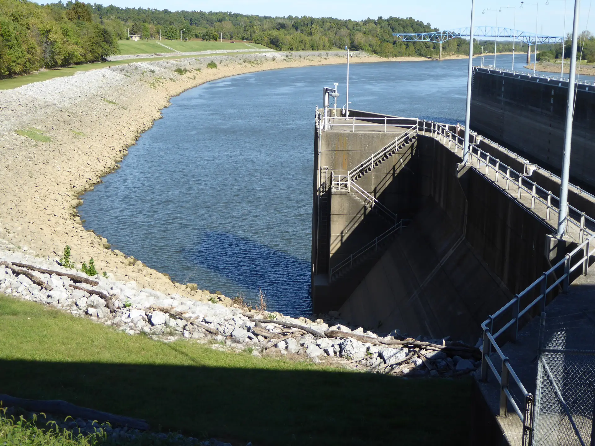 Asian Carp Invasive Species Barkley Lock