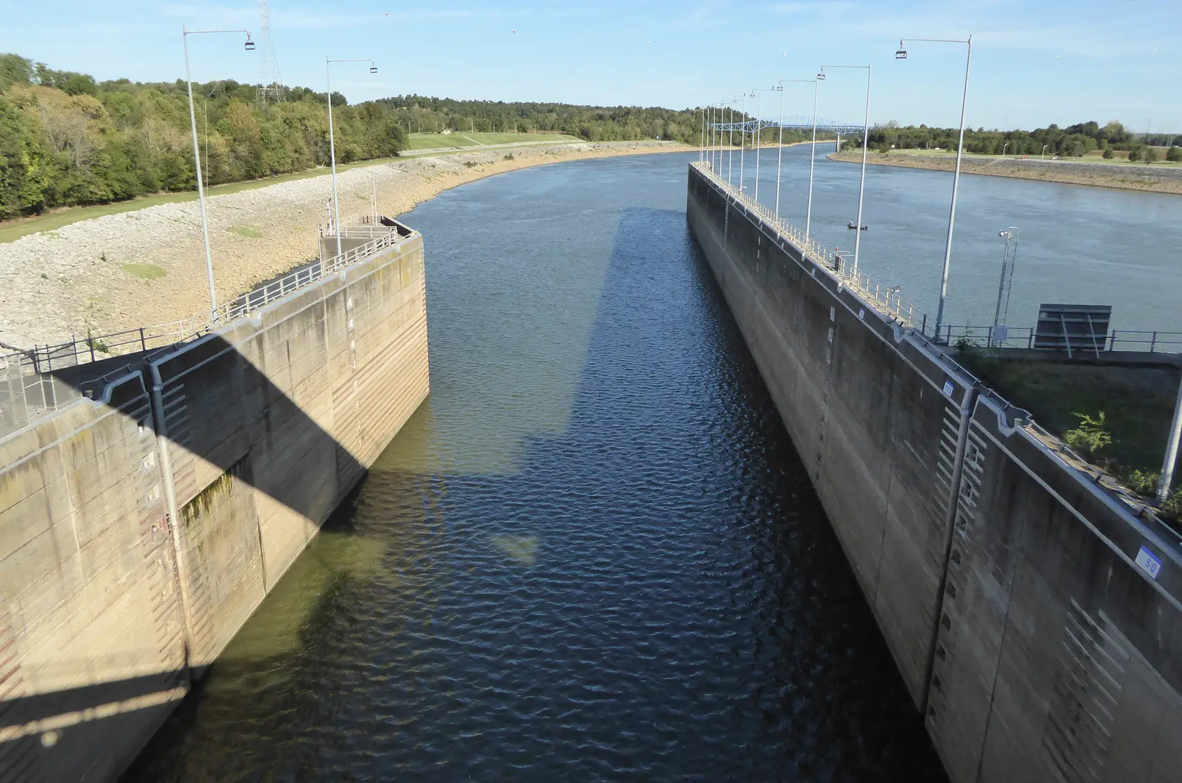 Invasive Fish at Barkley Lock Kentucky Fish Guidance Systems