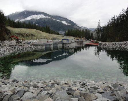 bear creek fish guidance systems