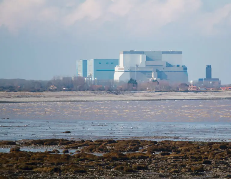 Hinkley Point C Fish Deterrent System (2)